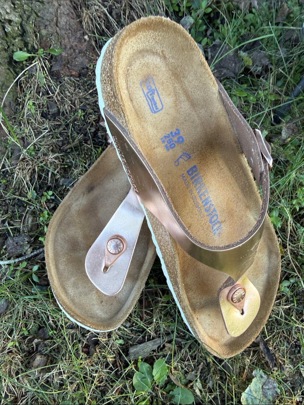 Birkenstock Gizeh Metallic Rose Gold Thong Sandals - Rose Gold
